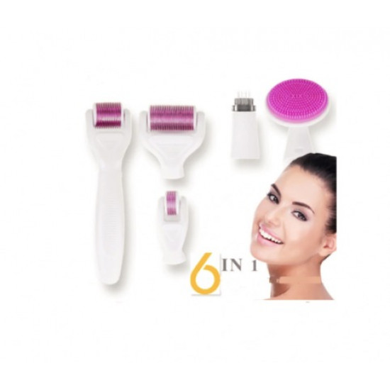 Aparat lifting 6 in 1 derma roller