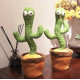 Jucarie de plus - Cactus dansator
