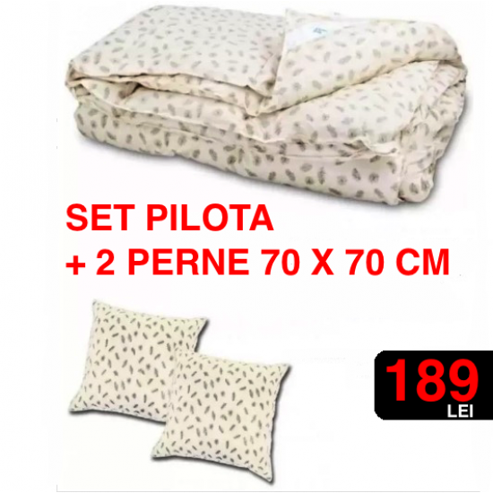 Set complet pilota + 2 perne 70x70 cm - cu puf de gasca