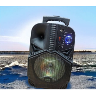 Boxa wireless Bluetooth BT-1839