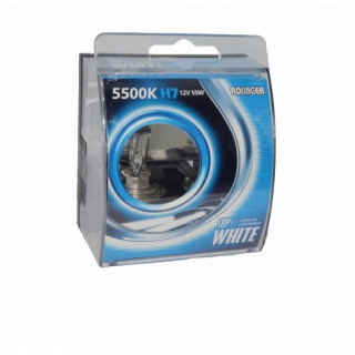 Set 2 becuri auto cu halogen, Rolinger, lumina alba, 55W