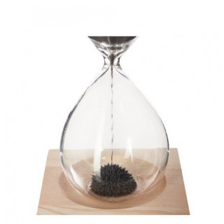 Clepsidra magnetica Clepsidra magnetica